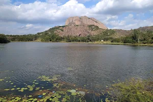 Nayakanapalya Lake image