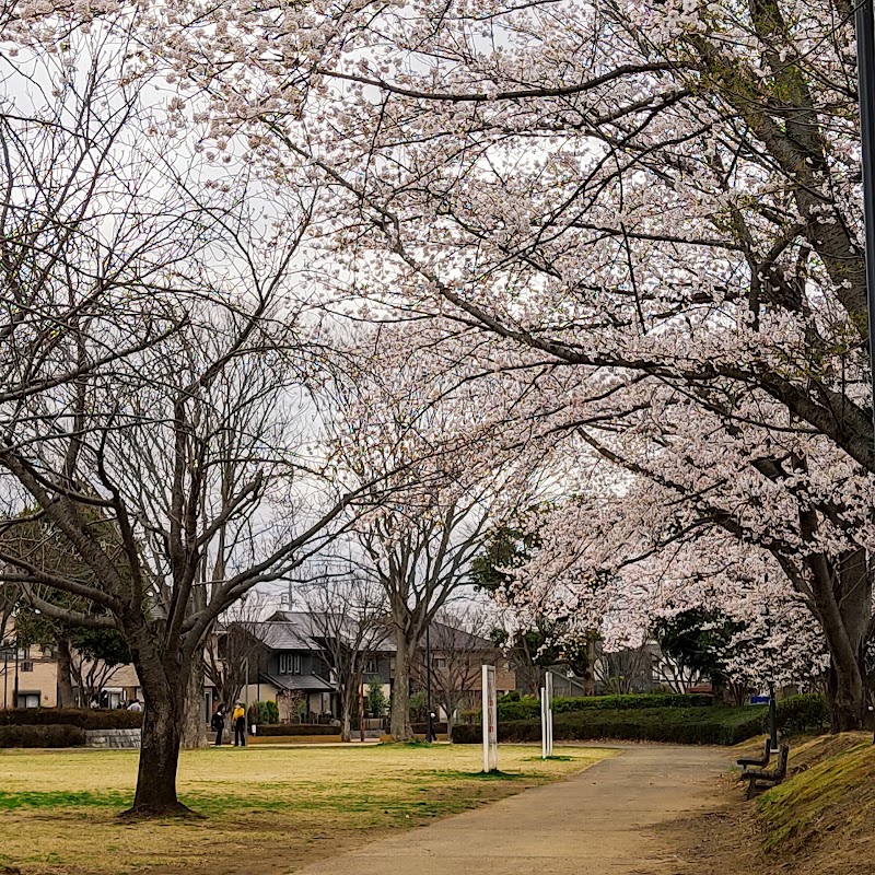 けやき台公園