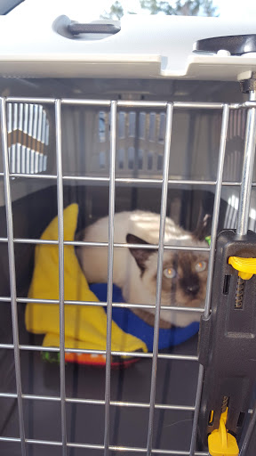 Pet Supply Store «Pet Food Express», reviews and photos, 1388 S California Blvd, Walnut Creek, CA 94596, USA