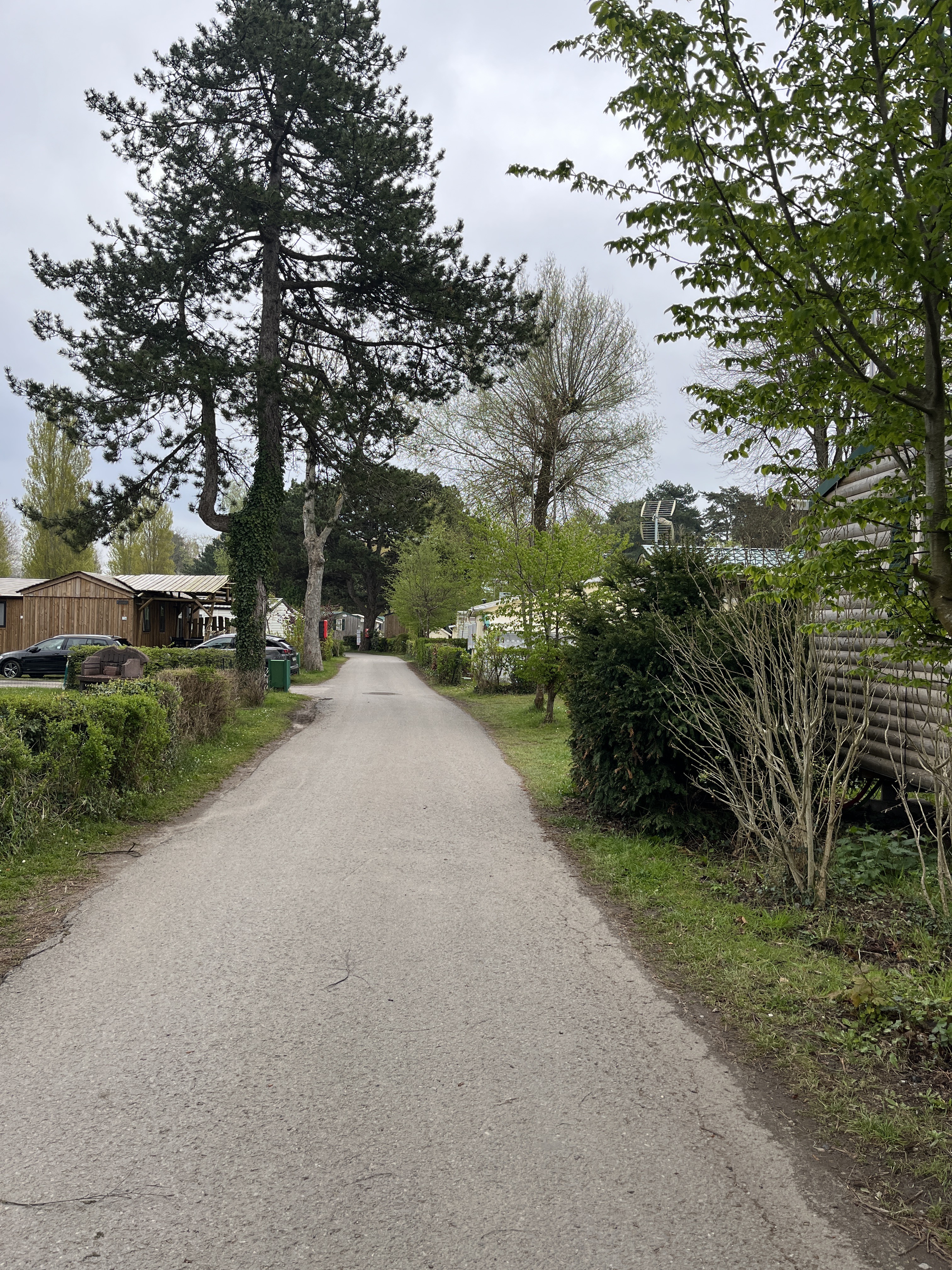 Photo n° 1 de l'avis de B,X.a fait le 29/04/2023 à 10:43