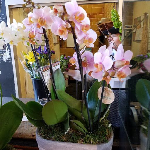 Grocery Store «Whole Foods Market», reviews and photos, 5945 State Bridge Rd, Duluth, GA 30097, USA