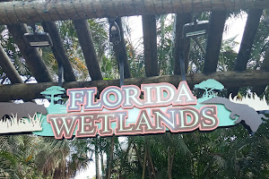 Florida Wetlands