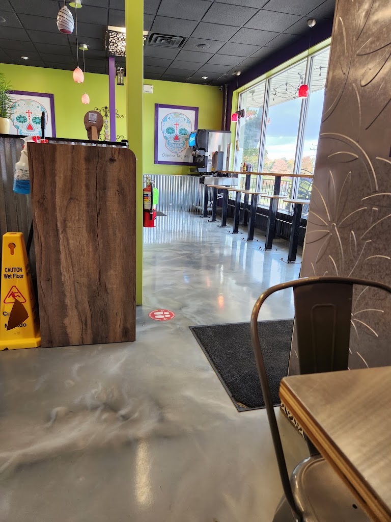 Cilantro Taqueria 44026