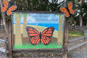 Monarch Butterfly Grove image