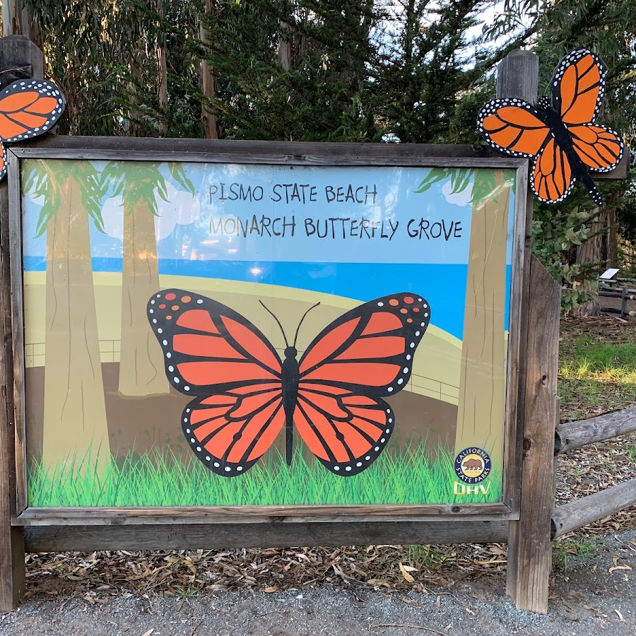 Monarch Butterfly Grove