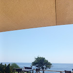 Photo n°1 de l'avis de Ana.s fait le 15/07/2023 à 12:47 sur le  LENTISCO à Livorno