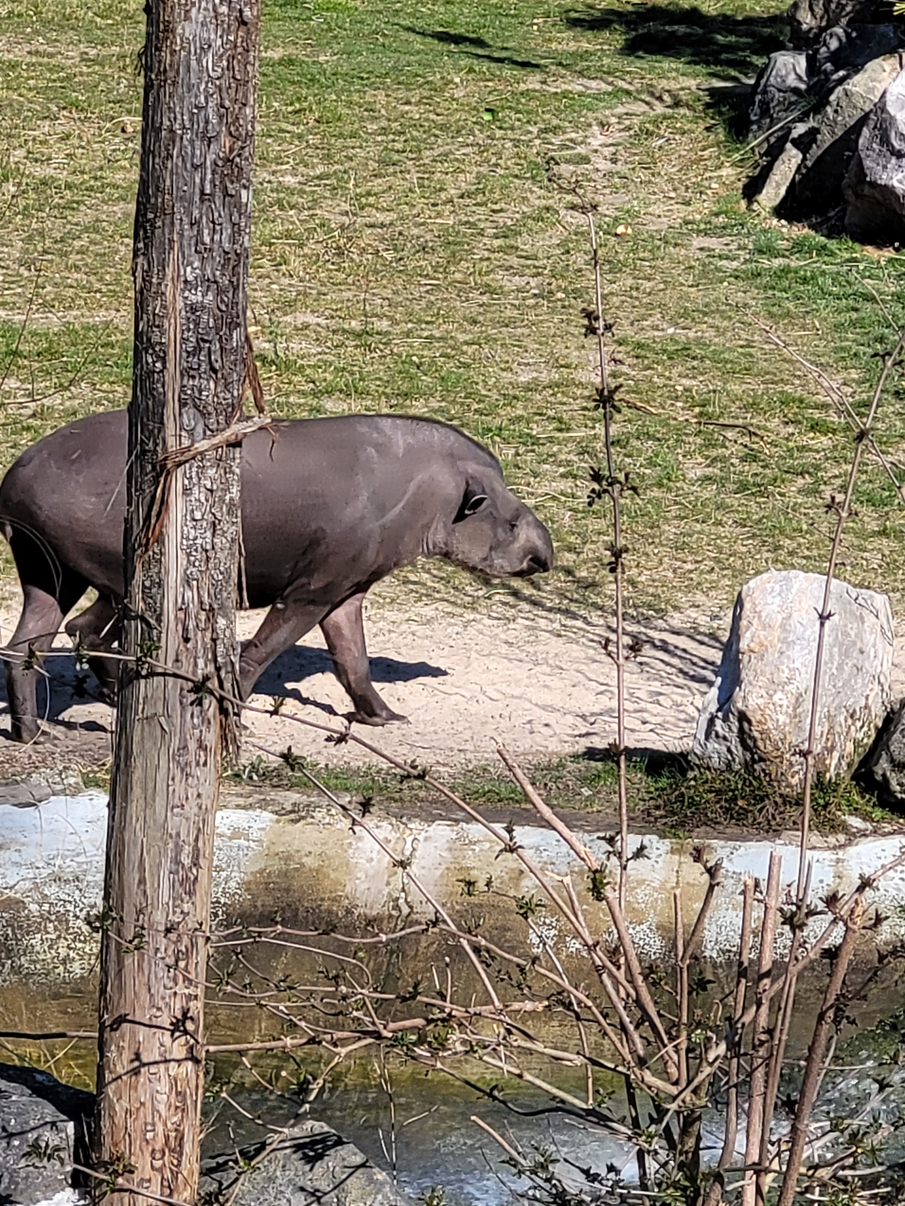 Photo n° 4 de l'avis de mickael. fait le 23/03/2022 à 21:58