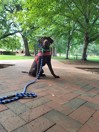 Dog Trainer «Off Leash K9 Training, Charlottesville», reviews and photos, 8782 Seminole Trail, Ruckersville, VA 22968, USA