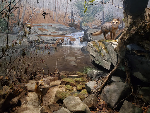 History Museum «The State Museum of Pennsylvania», reviews and photos, 300 North St, Harrisburg, PA 17120, USA