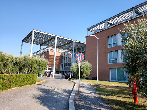 Cliniche universitarie Roma