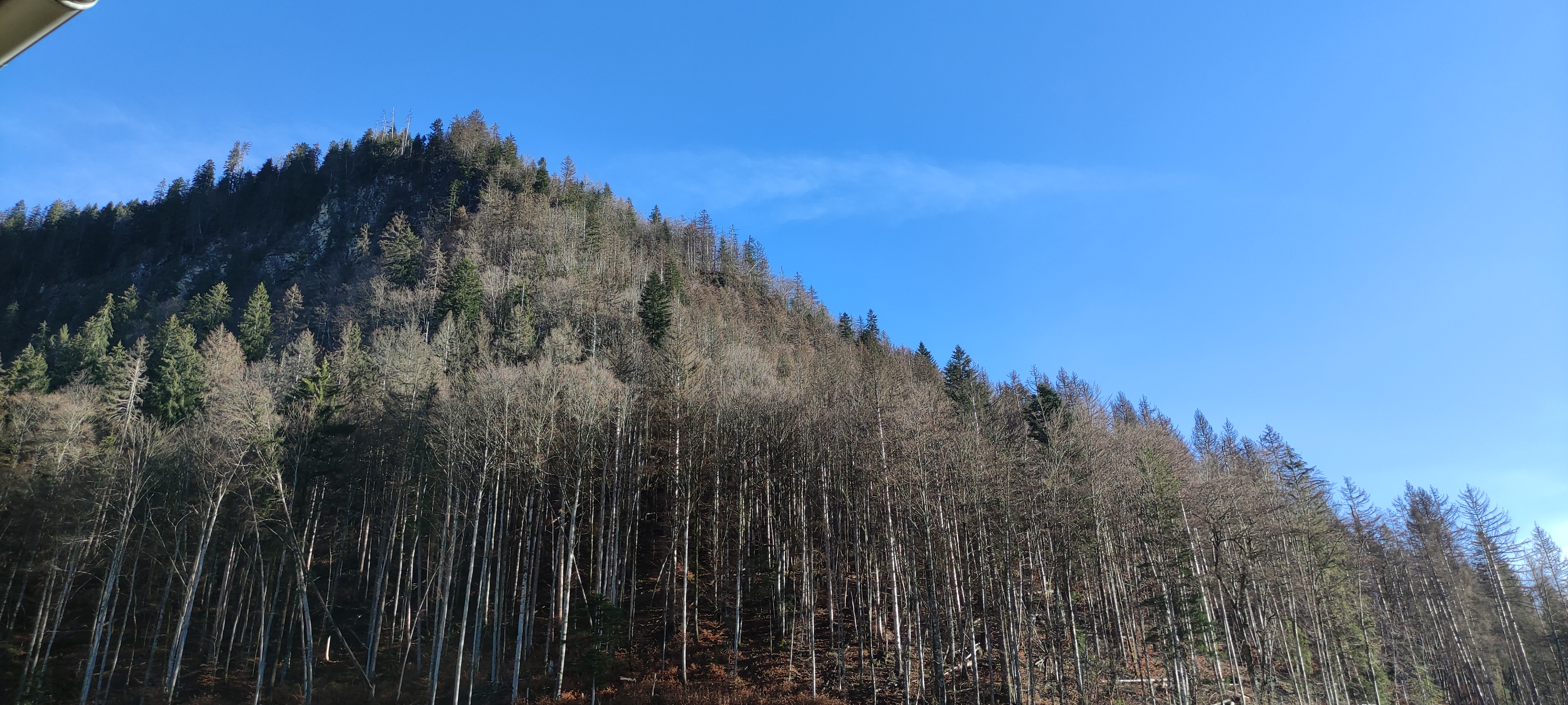 Photo n° 5 de l'avis de Denis.h fait le 30/01/2024 à 21:57