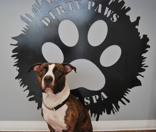 Pet Groomer «Dirty Paws Dog Spa», reviews and photos, 113 Mayo Rd, Edgewater, MD 21037, USA