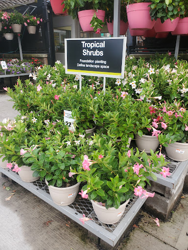 Home Improvement Store «The Home Depot», reviews and photos, 75-09 Woodhaven Blvd, Glendale, NY 11385, USA