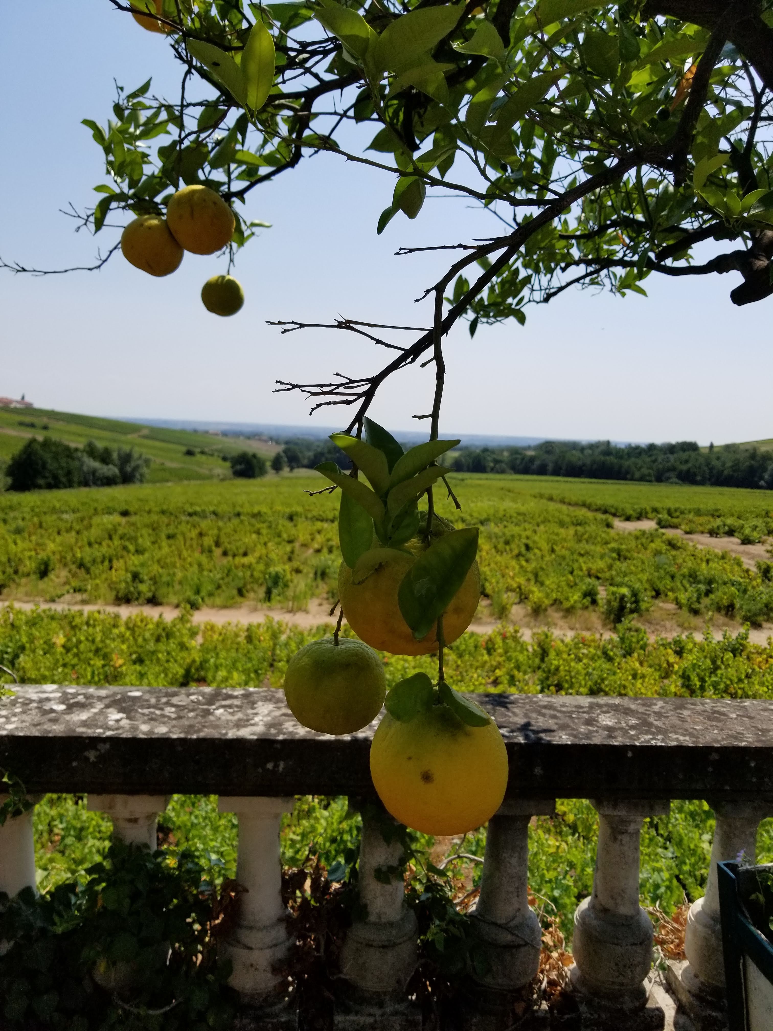 Photo n° 7 de l'avis de Pritesh.i fait le 25/07/2018 à 10:14