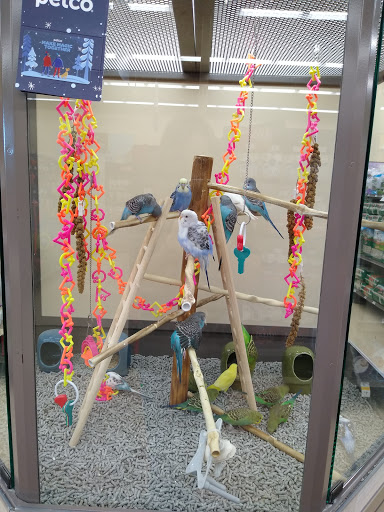 Pet Supply Store «Petco Animal Supplies», reviews and photos, 8213 Hwy 72 W c, Madison, AL 35758, USA