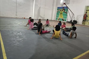 Dronacharya Badminton Academy image