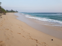 Photo de South Beach avec un niveau de propreté de très propre