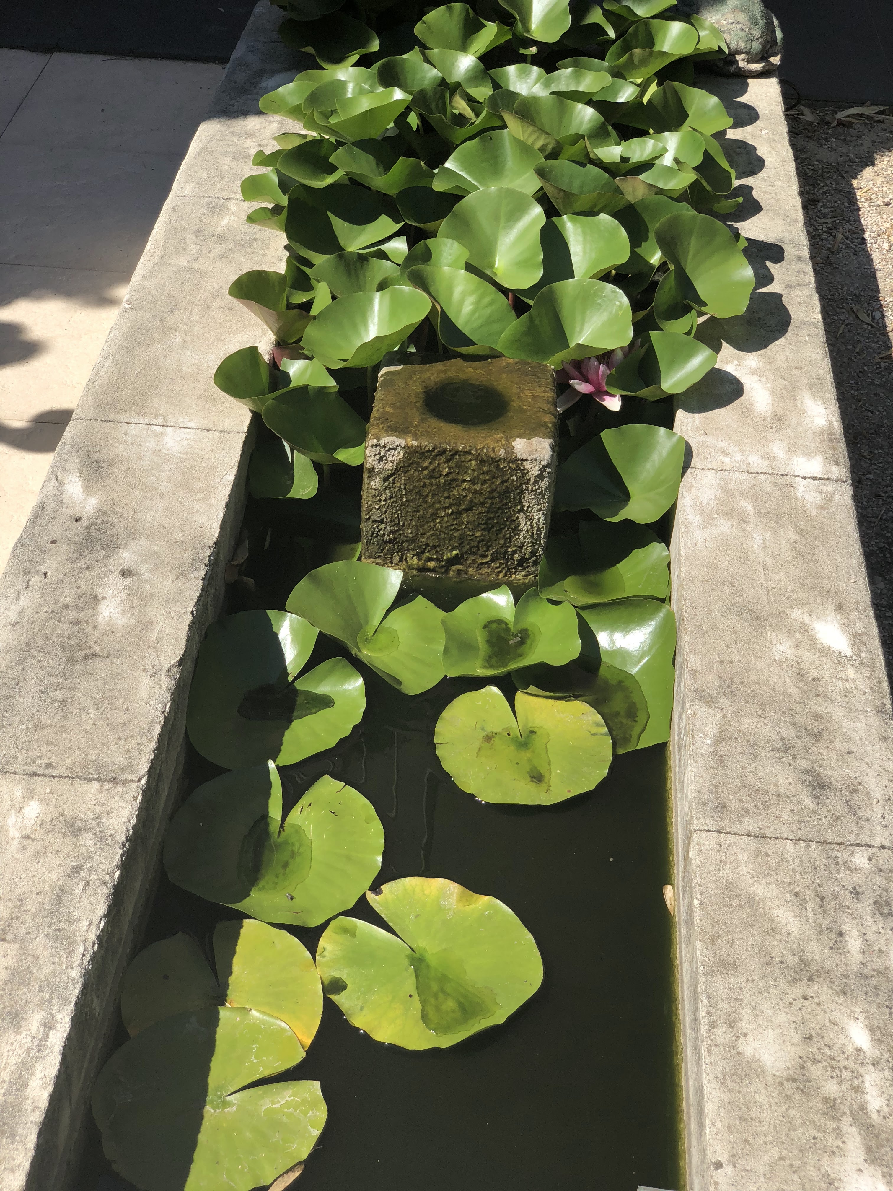 Photo n° 5 de l'avis de J.p fait le 10/07/2018 à 15:48