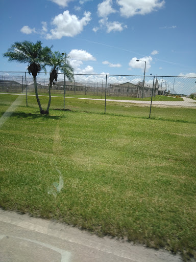 Seafood Restaurant «Gulfshore Grill and The Cottage Beach Bar», reviews and photos, 1250 Estero Blvd, Fort Myers Beach, FL 33931, USA