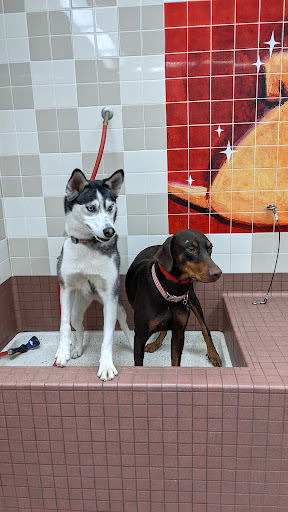 Pet Supply Store «Pet Food Express», reviews and photos, 2158 Contra Costa Blvd, Pleasant Hill, CA 94523, USA