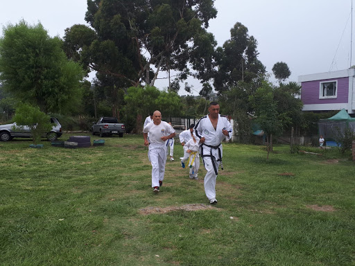 Academia de Taekwondo 