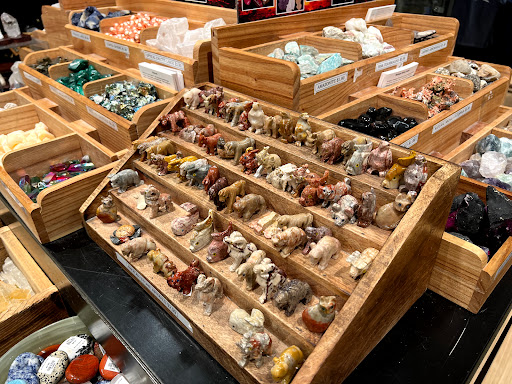 Natural History Museum «Denver Museum of Nature & Science», reviews and photos, 2001 Colorado Blvd, Denver, CO 80205, USA