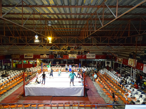Freestyle wrestling Laredo