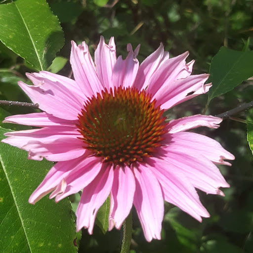 Nature Preserve «Cincinnati Nature Center», reviews and photos, 4949 Tealtown Rd, Milford, OH 45150, USA