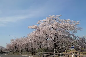 Katsuragi Park image