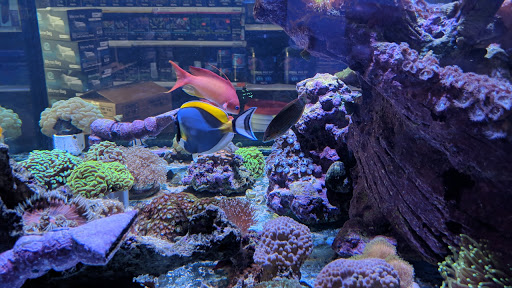 Pet Supply Store «Professional Fish Keepers Aquarium Store», reviews and photos, 7573 W Sample Rd, Coral Springs, FL 33065, USA