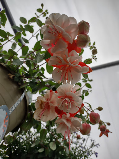 Department Store «Mills Fleet Farm», reviews and photos, 1935 Levi Griffin Rd, Carver, MN 55315, USA