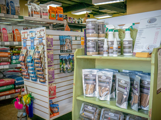 Pet Store «Kosmos Dog House», reviews and photos, 10105 E Vía Linda, Scottsdale, AZ 85258, USA