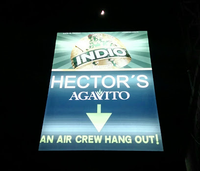 Hector's Agavito, , 