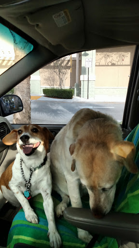 Pet Supply Store «PetSmart», reviews and photos, 7850 W Commercial Blvd, Lauderhill, FL 33351, USA