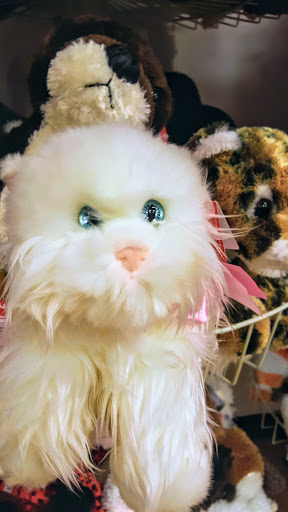 Toy Store «The Toy Shelf», reviews and photos, 3195 28th St SE D - 102, Grand Rapids, MI 49512, USA