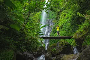El Tigre Waterfalls Monteverde image