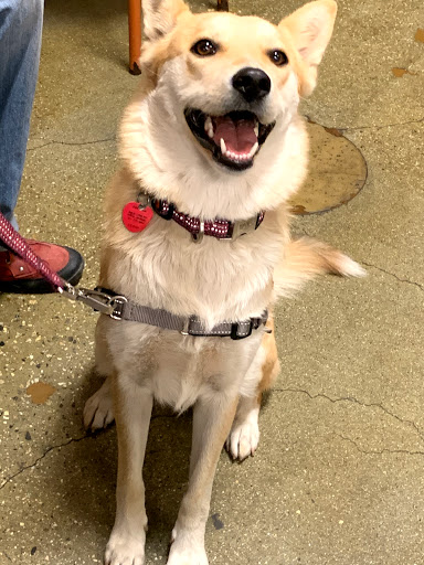 Pet Supply Store «PetSmart», reviews and photos, 8852 Washington Blvd, Pico Rivera, CA 90660, USA