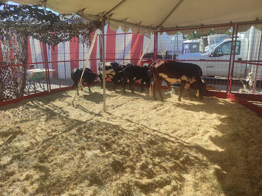 Arena «The Family Arena», reviews and photos, 2002 Arena Pkwy, St Charles, MO 63303, USA