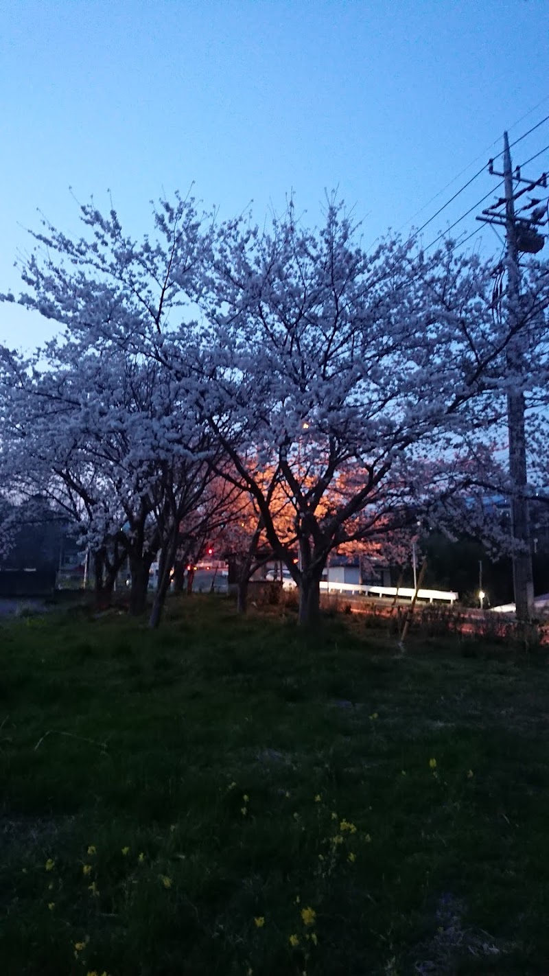 三菱ガス化学（株） 山北工場