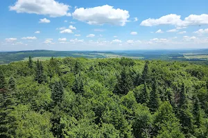 Tour d'observation de St-Fortunat image