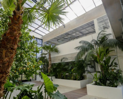 Ecti étanchéité à Montpellier