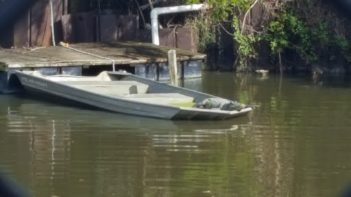 Zoo «Alligator Adventure», reviews and photos, 4604 Hwy 17 S, North Myrtle Beach, SC 29582, USA