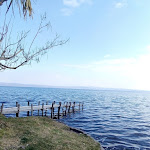 Photo n°3 de l'avis de L_aura.del..a fait le 28/02/2019 à 15:37 sur le  Trattoria da Giggetto à Gradoli