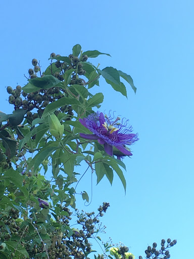 Park «Matzke Park», reviews and photos, 13110 Jones Rd, Houston, TX 77070, USA