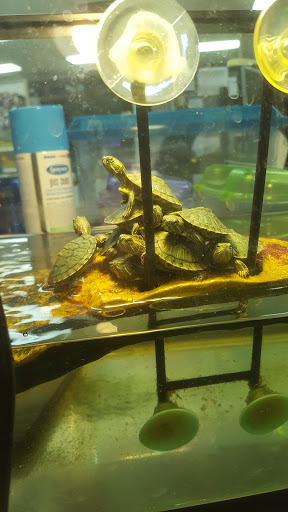 Pet Store «Inland Reef Pet Store», reviews and photos, 817 Cross Lanes Dr, Cross Lanes, WV 25313, USA