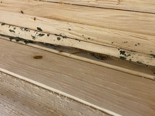 Home Improvement Store «The Home Depot», reviews and photos, 7111 Westlake Terrace, Bethesda, MD 20817, USA