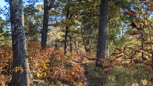 Country Club «Andover Country Club», reviews and photos, 60 Canterbury St, Andover, MA 01810, USA