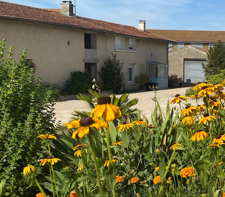 Maison chaleureuse en Champagne! à Francheville (Marne 51)