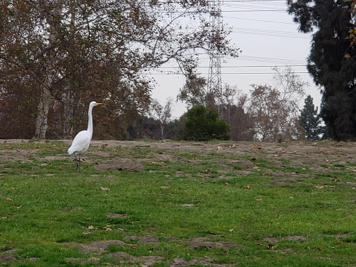 Whittier Narrows Group Picnic Area