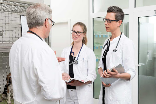 Tierklinik im Tierzentrum unter Gelnhausen, 